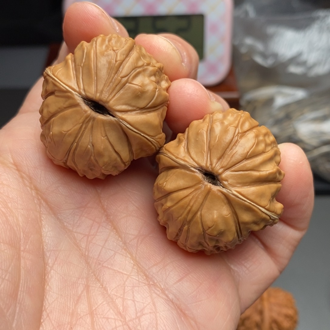 文玩核桃把件用****5龟甲纹35