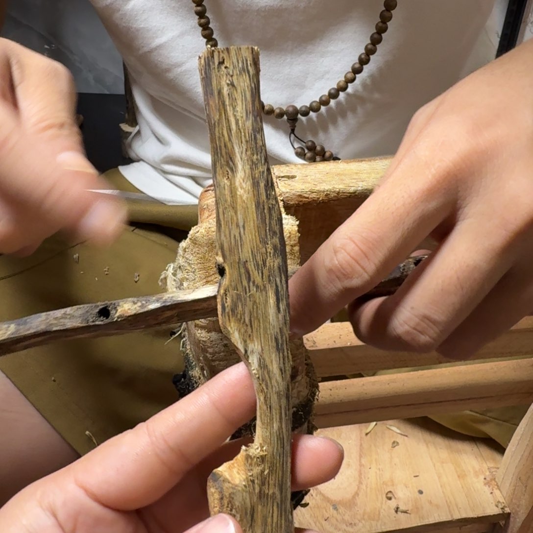 块料块料块料块料