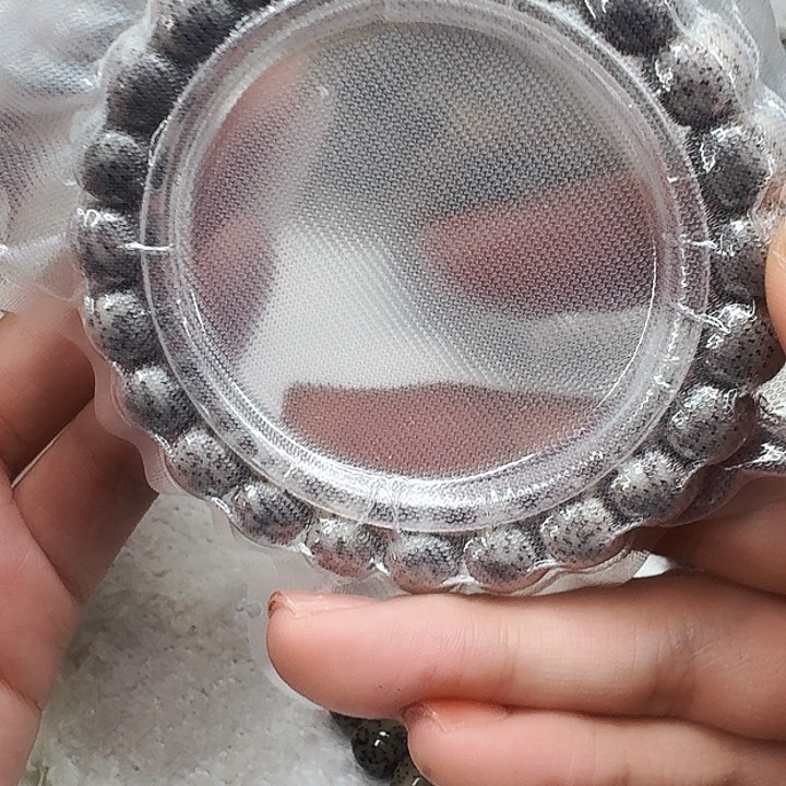星月菩提手串306高端黑灰星月菩提10桶单圈
