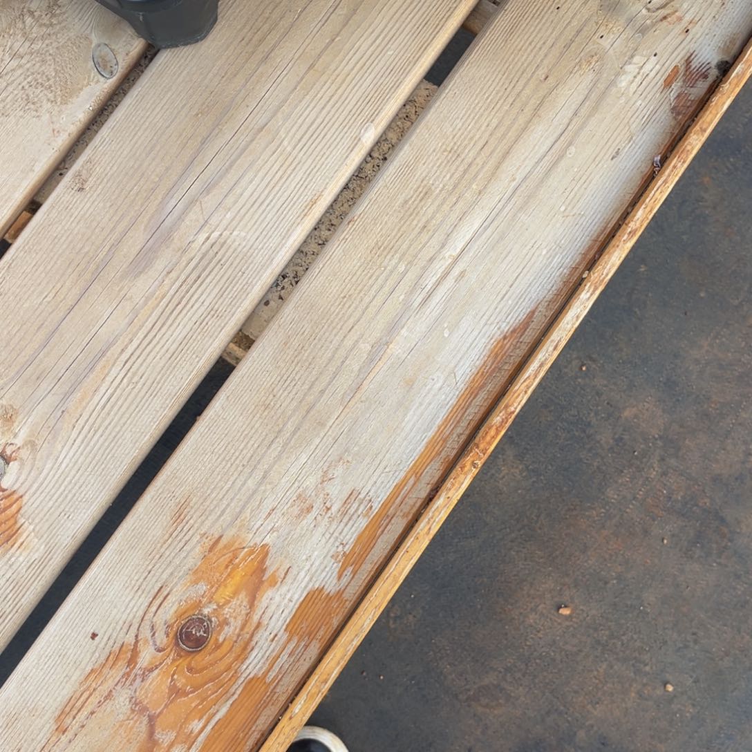 半***夏小姐姐的多肉植物群生充值