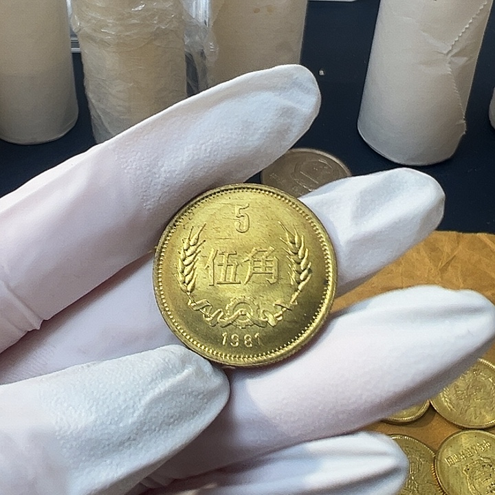 其他普通金属1981年5角一枚扣盒