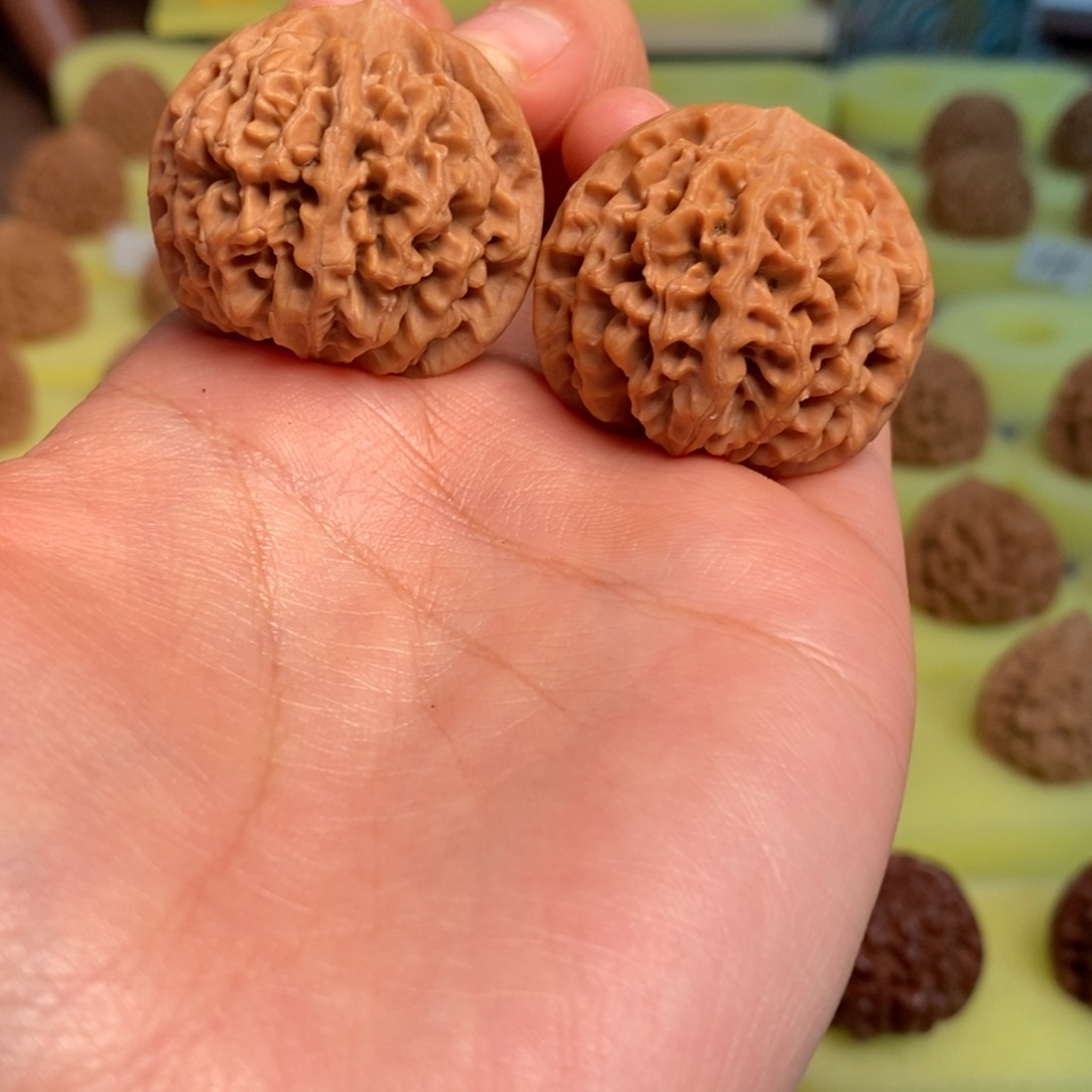 三***辉核桃秦岭闷尖狮子头33