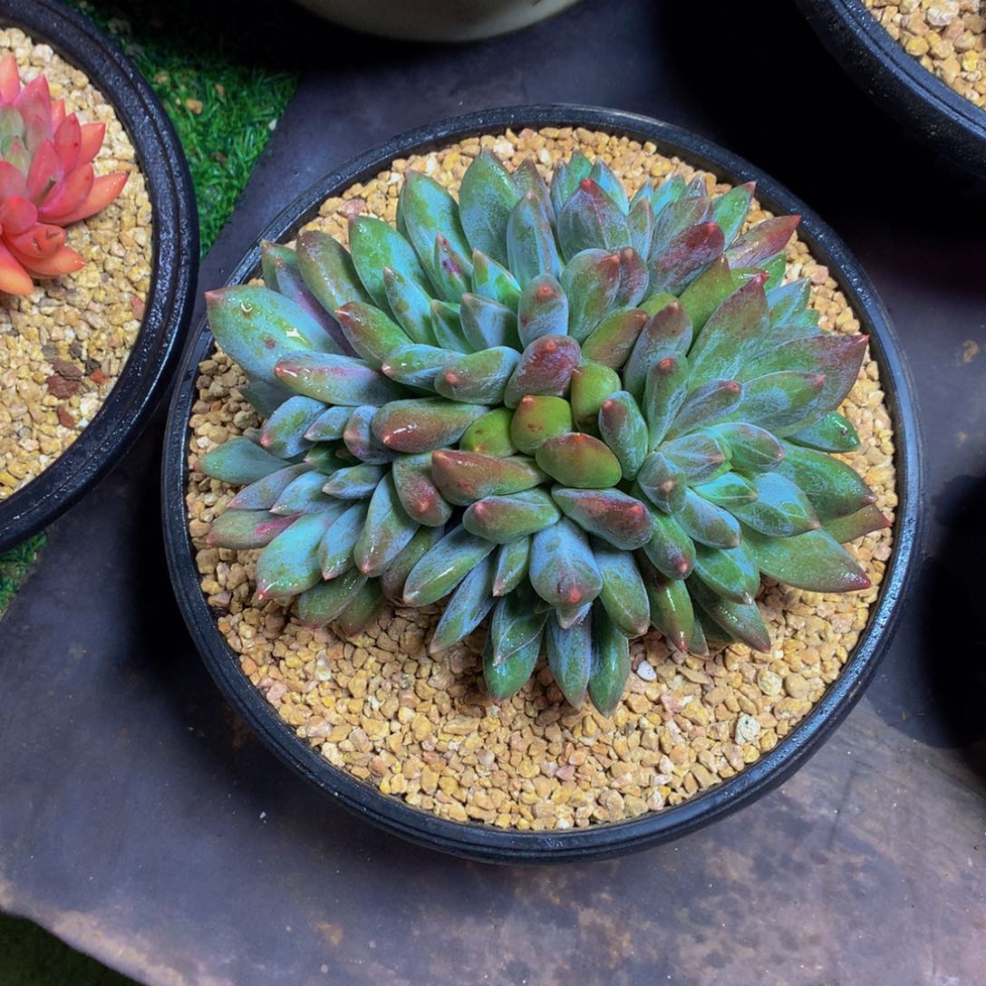 小***菲哈哈哈哈哈哈哈哈哈哈