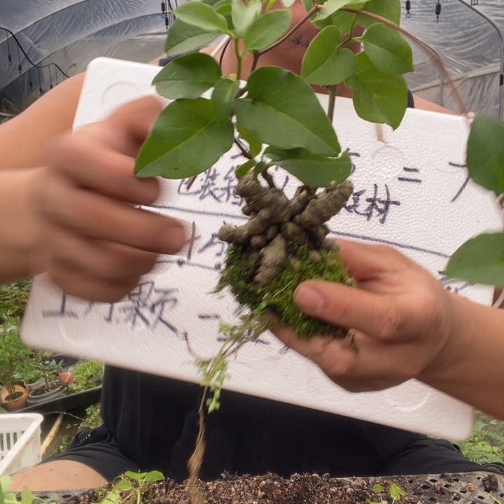 退款拉黑一物一拍437