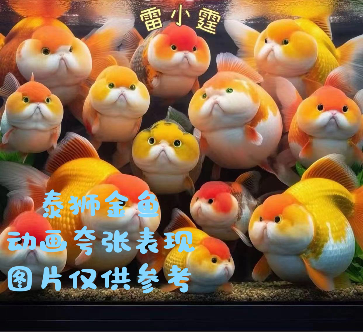 兰寿泰狮福利包邮开箱包活请仔细阅读商品详情非直播时间随机搭配