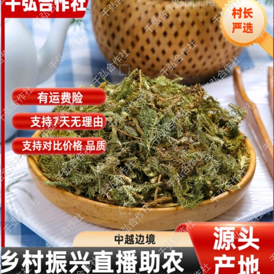 【村长严选】——伸筋草