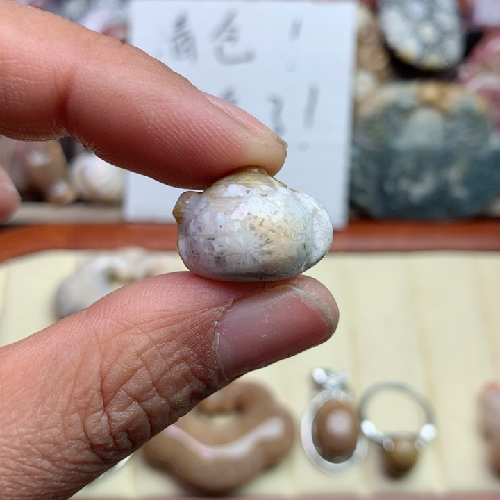 硅化珊瑚（珊瑚玉）颈饰未镶嵌