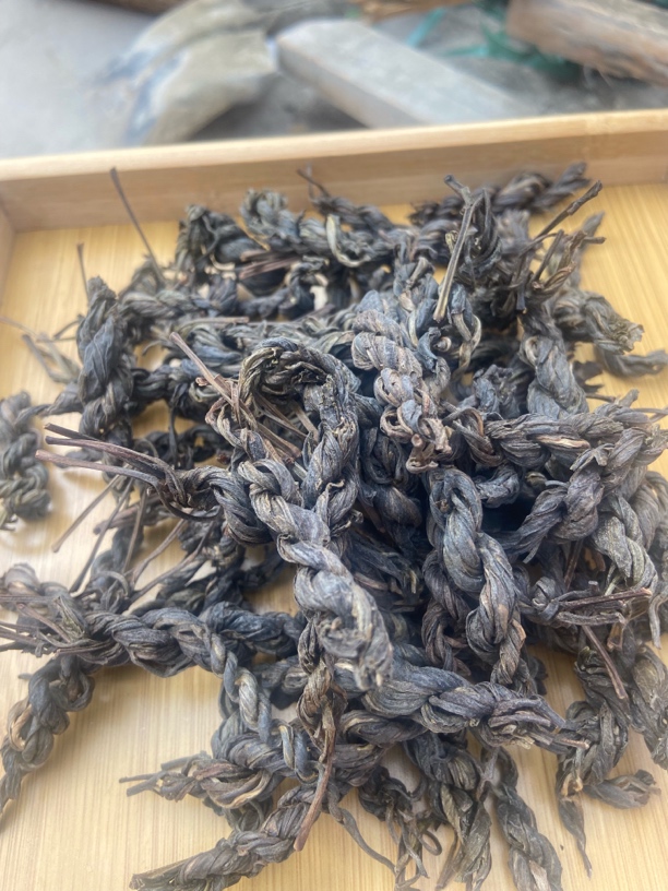 云南腾冲，2025年，古树【辩子茶】生普