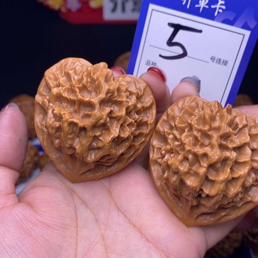 5号链接帝王5.0尺00000