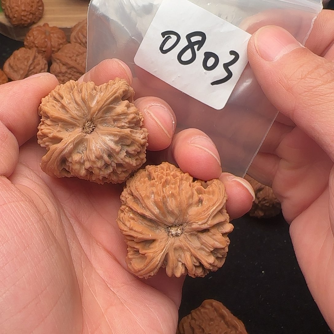 文玩核桃把件0803全品41逐鹿南疆石