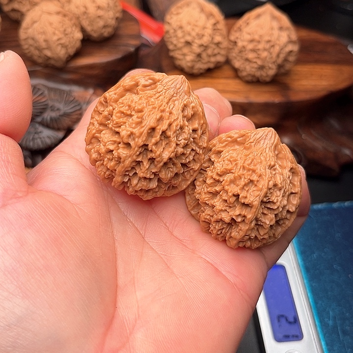 桃核把件核桃满天星39