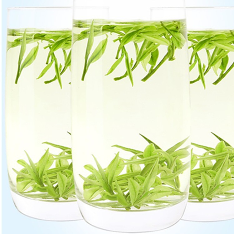 秋逗子 安吉 溪龙高山【兰花香】白茶  