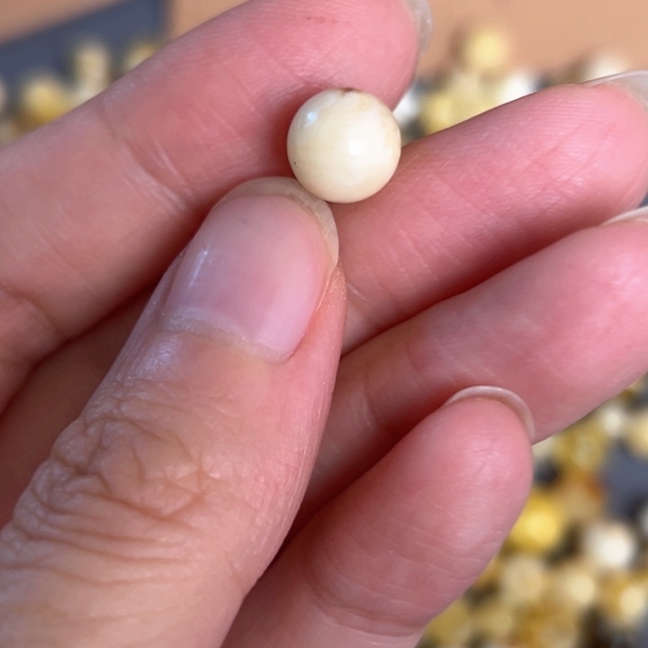 未镶嵌蜜蜡裸石8.7mm一个