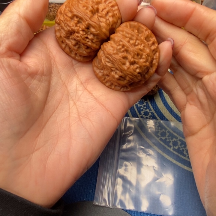 桃核吊坠白狮子44全品