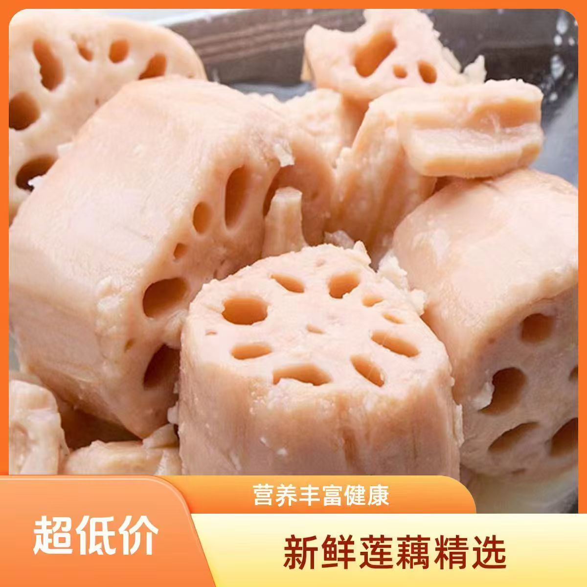 正宗湖北洪湖新鲜煲汤粉藕现挖九孔莲藕湖北农家特产