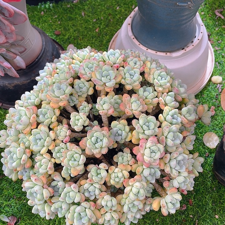 谢谢你的支持0000045