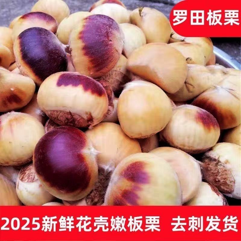 （达人）【顺丰包邮】大别山新鲜花白壳嫩板栗香甜脆口内皮好剥即食