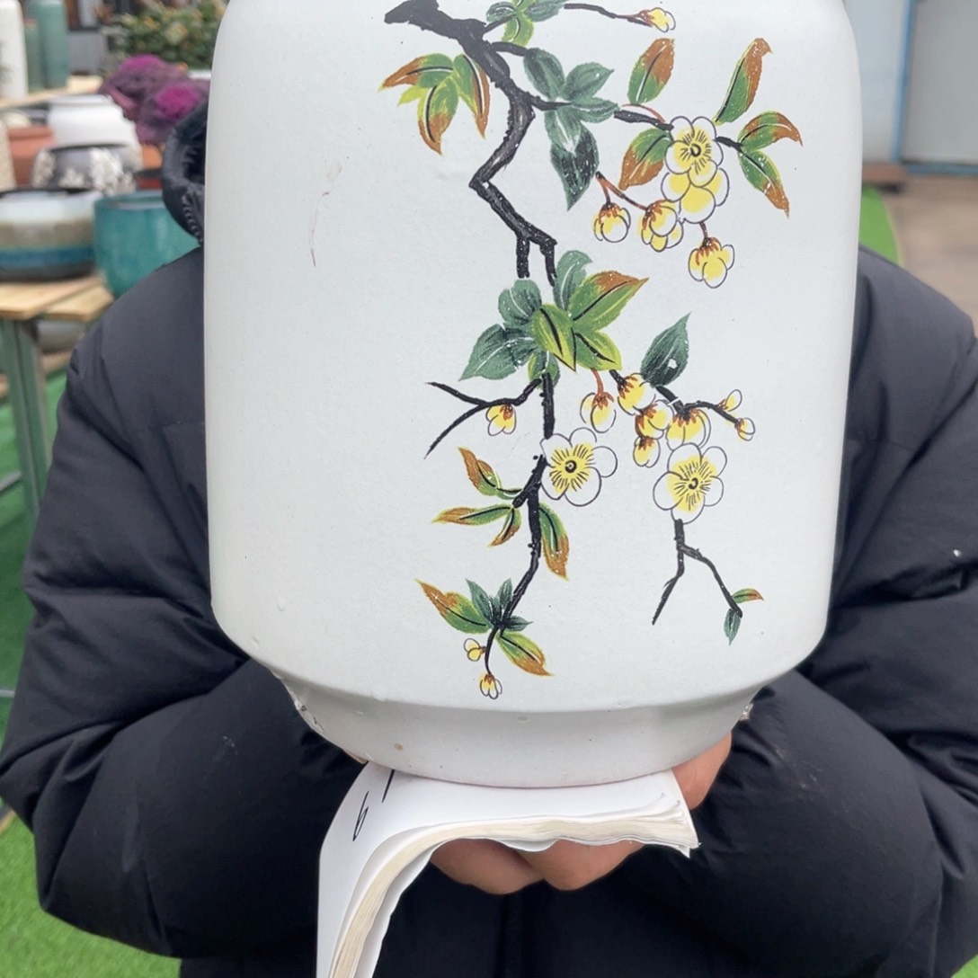 红陶彭于晏0215-1061