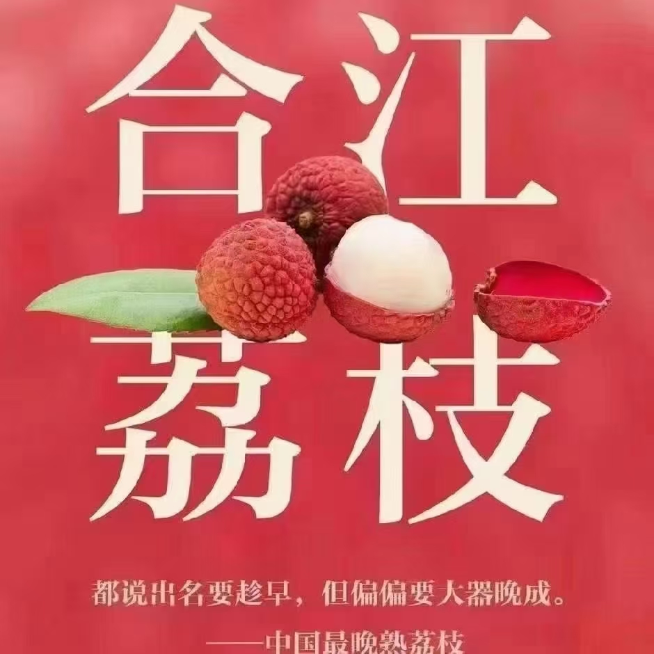 （发送到川渝地区）合江荔枝绛纱兰现摘顺丰包邮