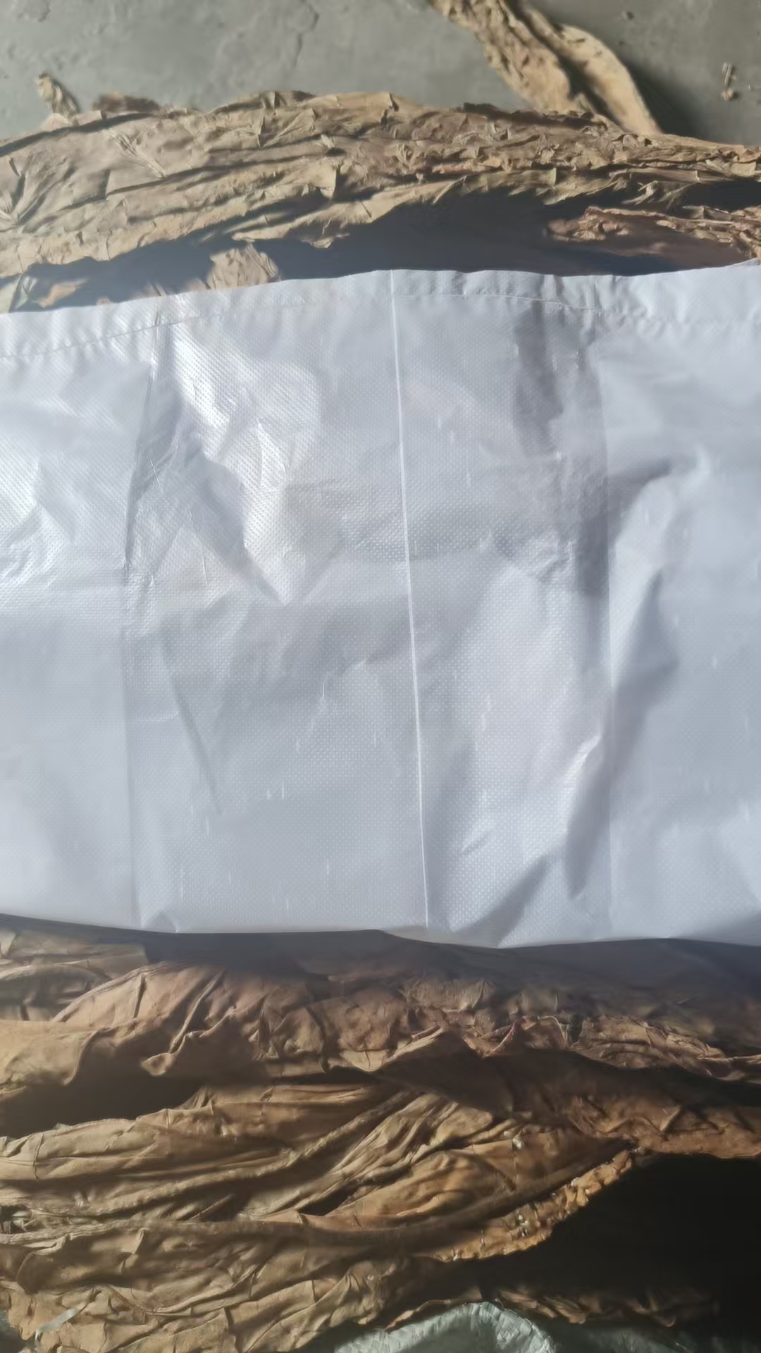 两斤没发酵过的新干叶子编织袋没拍过的慎拍