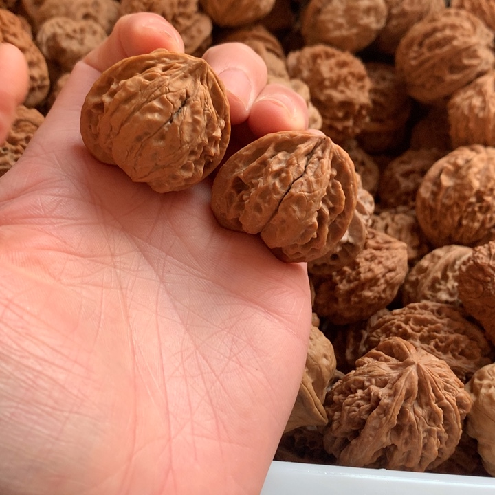 1***贵文玩核桃把件苹果