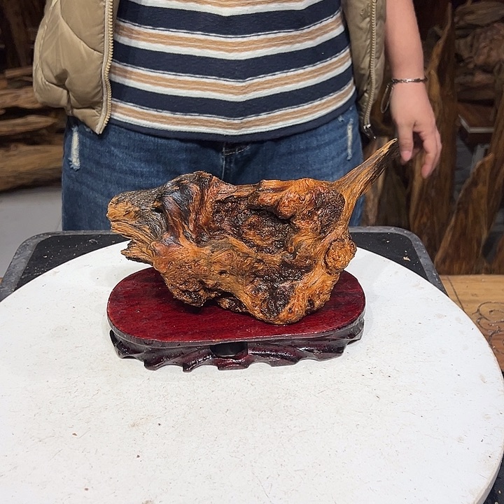 松木（琥珀木）红****子