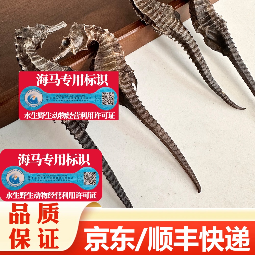 【精选】足干线纹海马干