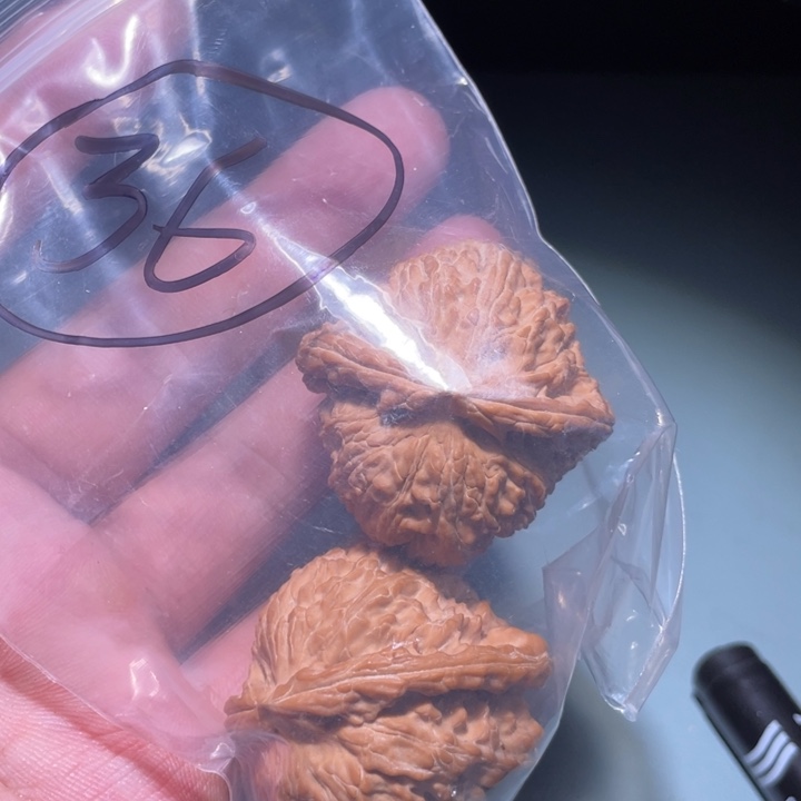 文玩核桃吊坠36呃呃呃