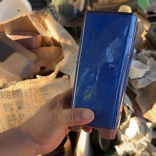 是因为她太喜欢了么笑着