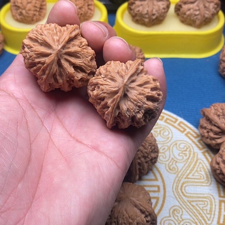 核桃手串/手链都****师苹果园狮子头40尺