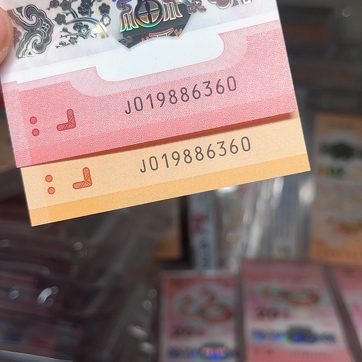 塑料龙钞啊啊啊啊啊啊啊啊啊