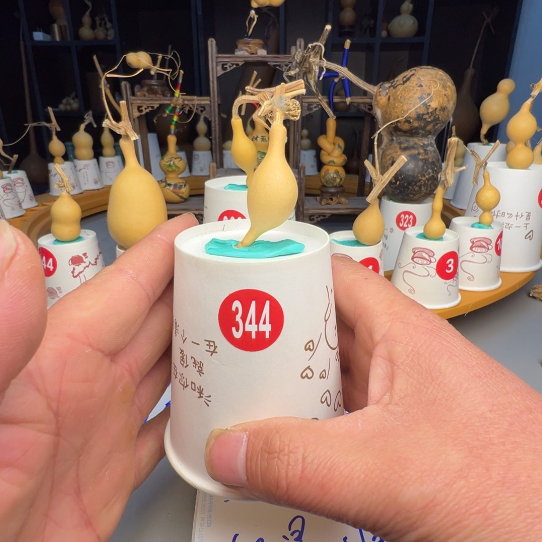 闪电购自助下单编号344