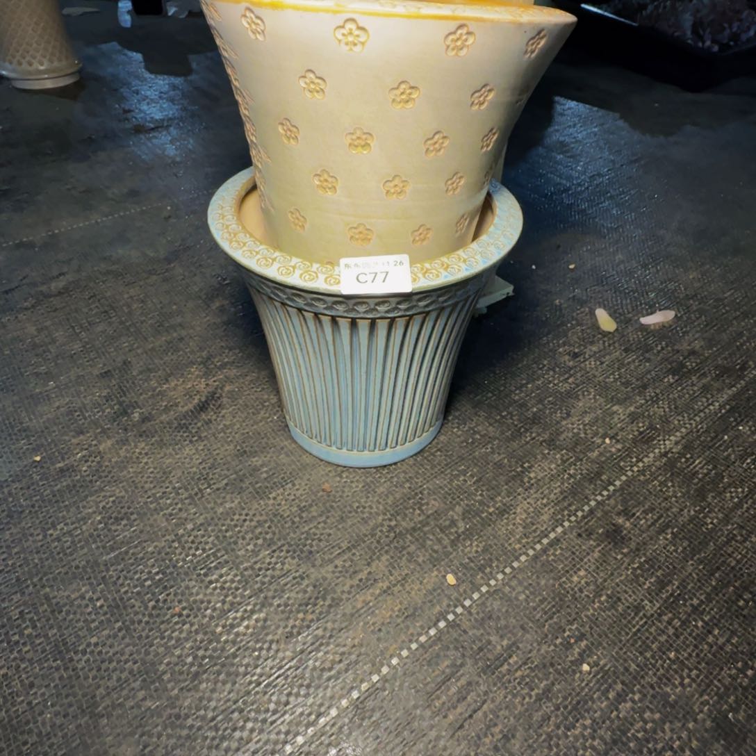 ?****?c c c c c c c v c v77