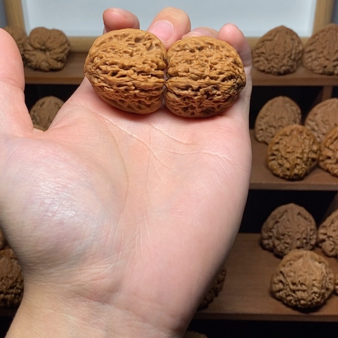 核桃南疆石35尺全品对歪鹰嘴