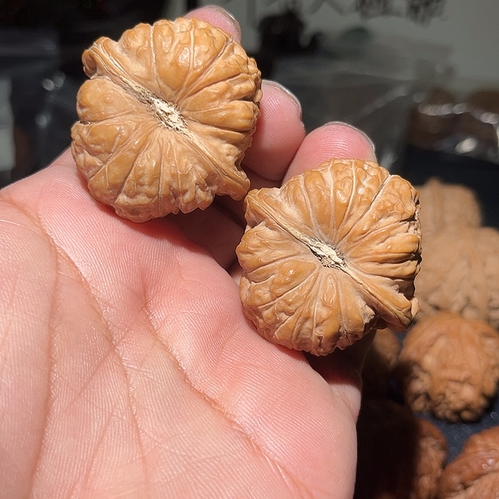 T***l木44南瓜敦。       