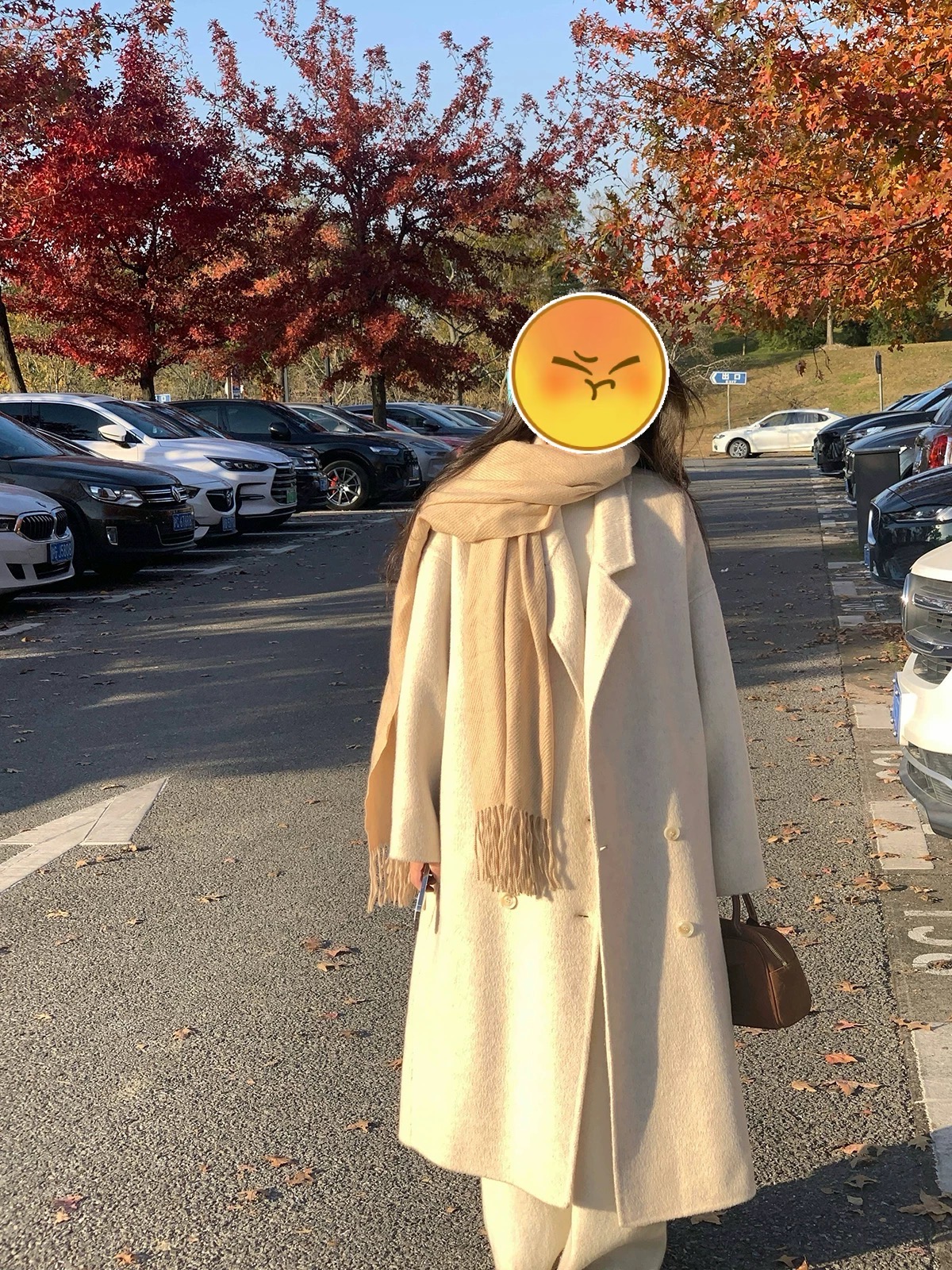 花【601~799】双面呢羊绒大衣女高级感全羊毛呢外套秋冬