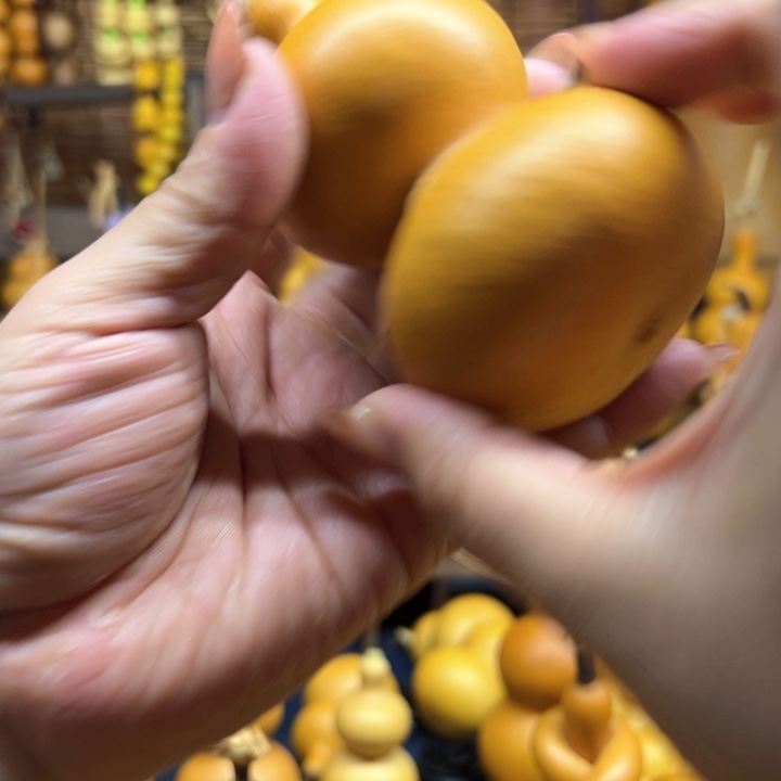 大叶紫檀（黑酸枝木类）^****^