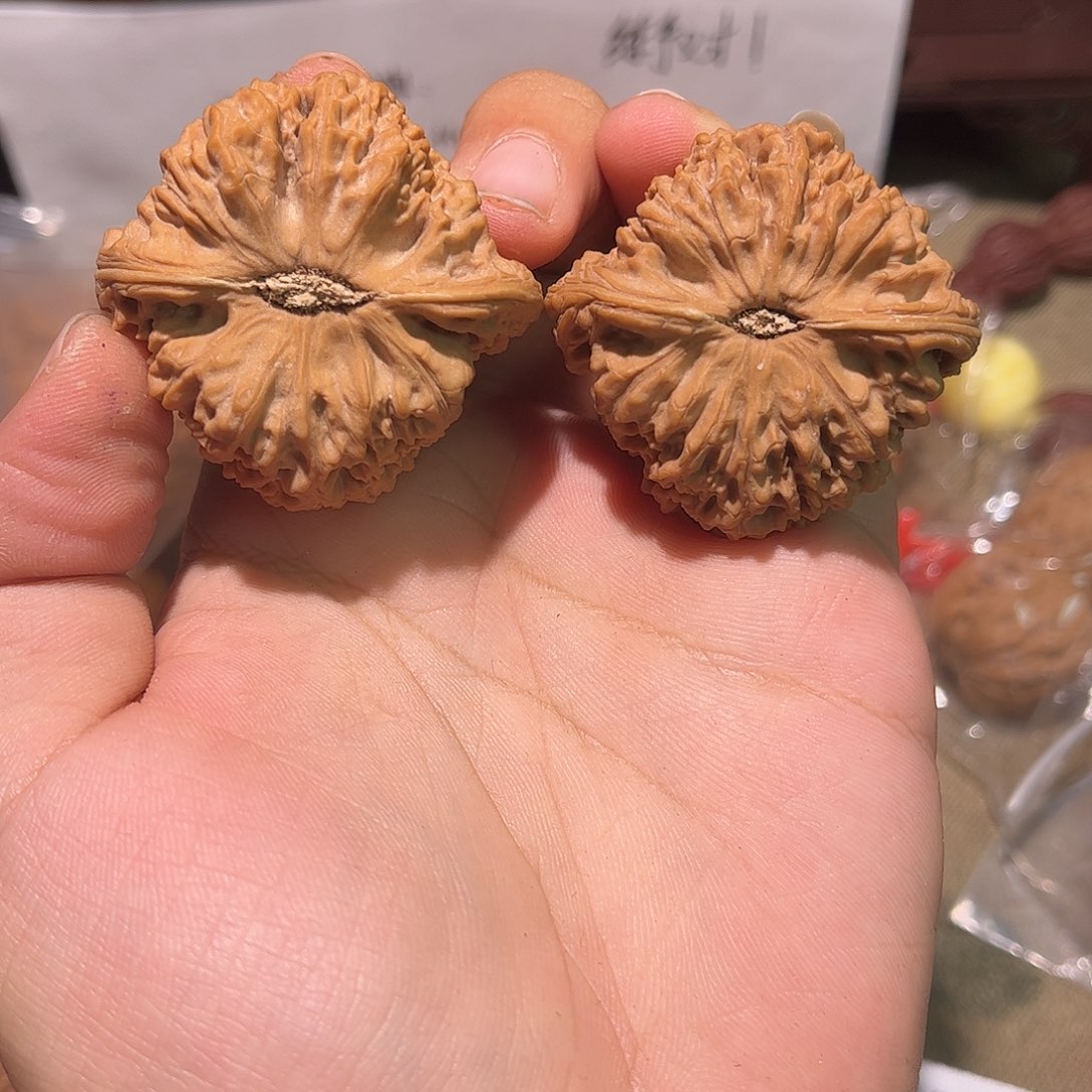 45赵喜满南疆石小精对