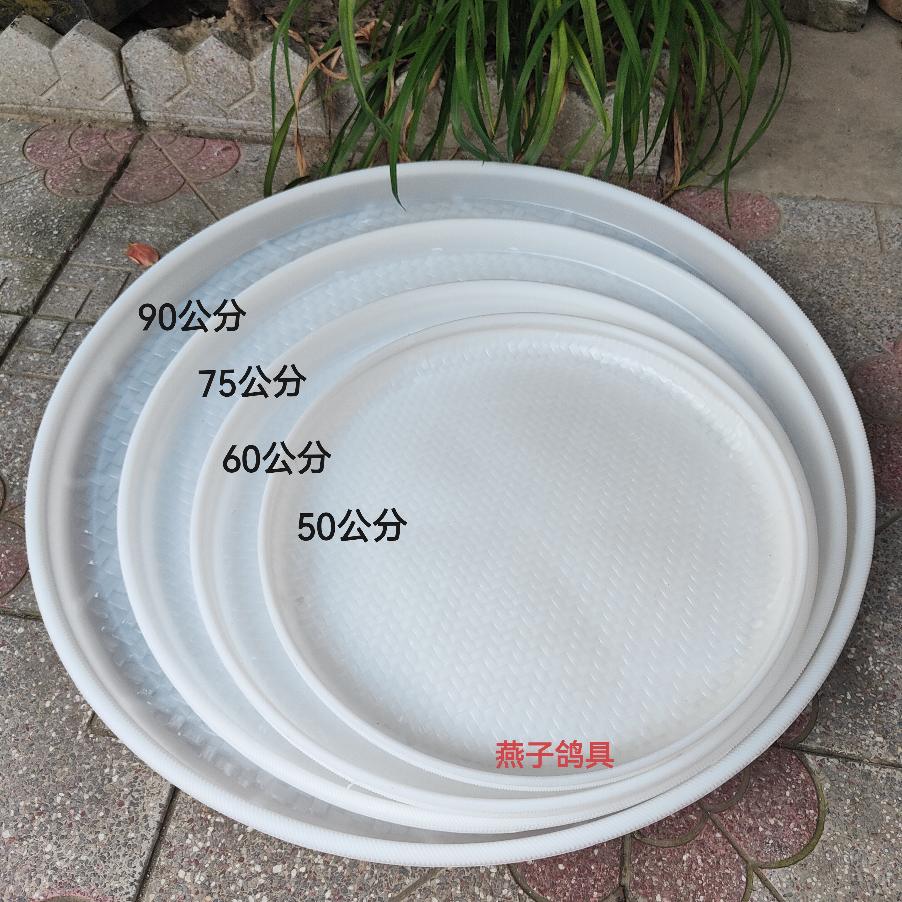 塑料圆形鸽舍食盘鸽子专用喂食盘
