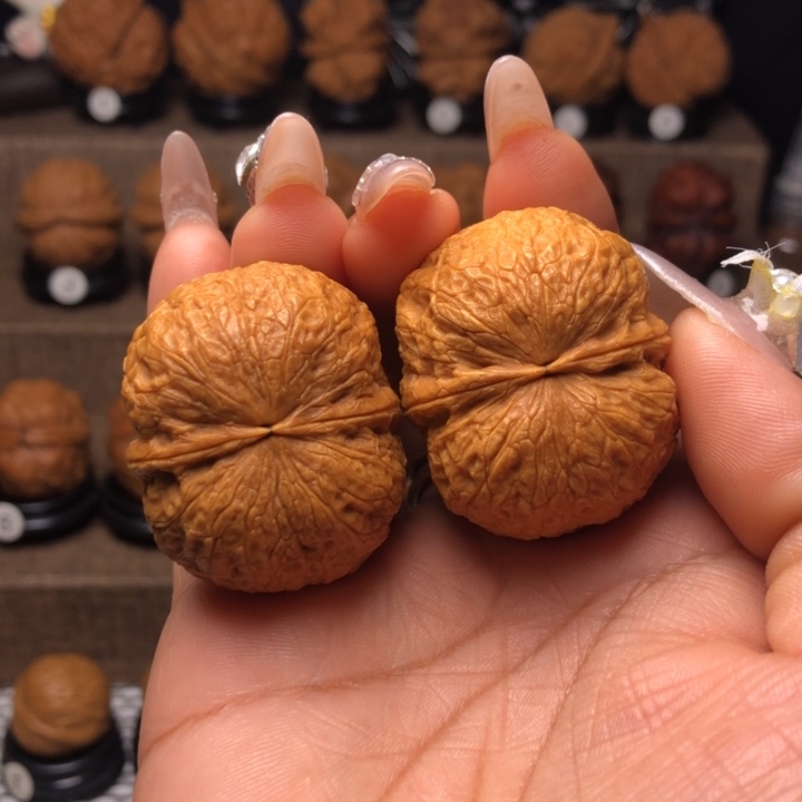 橄榄核吊坠30鹦鹉元宝