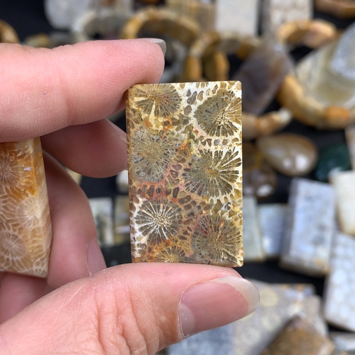 【闪购商品】硅化珊瑚（珊瑚玉）颈饰未镶嵌我***肉