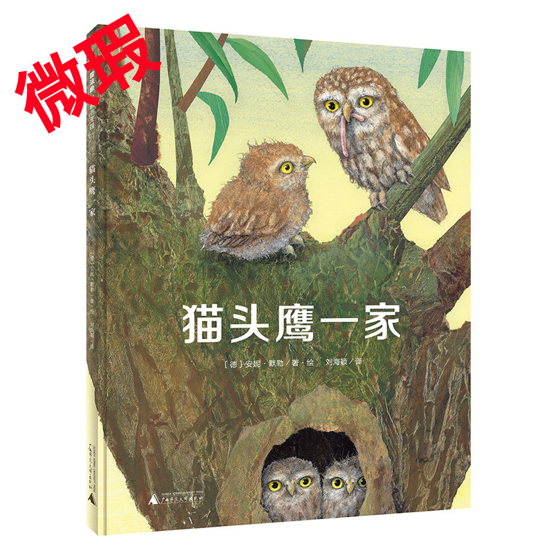 魔法象·图画书王国  猫头鹰一家