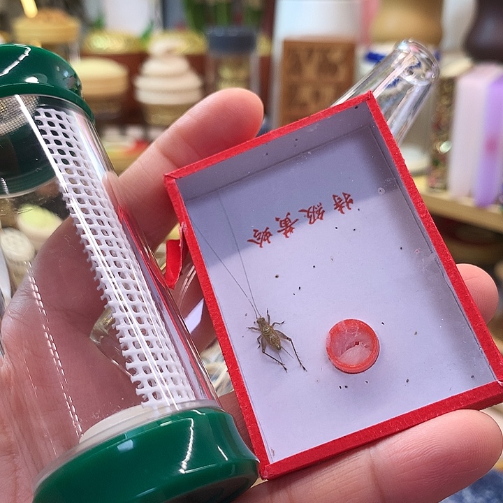 *****黄玲套装大桶啊啊啊啊啊啊