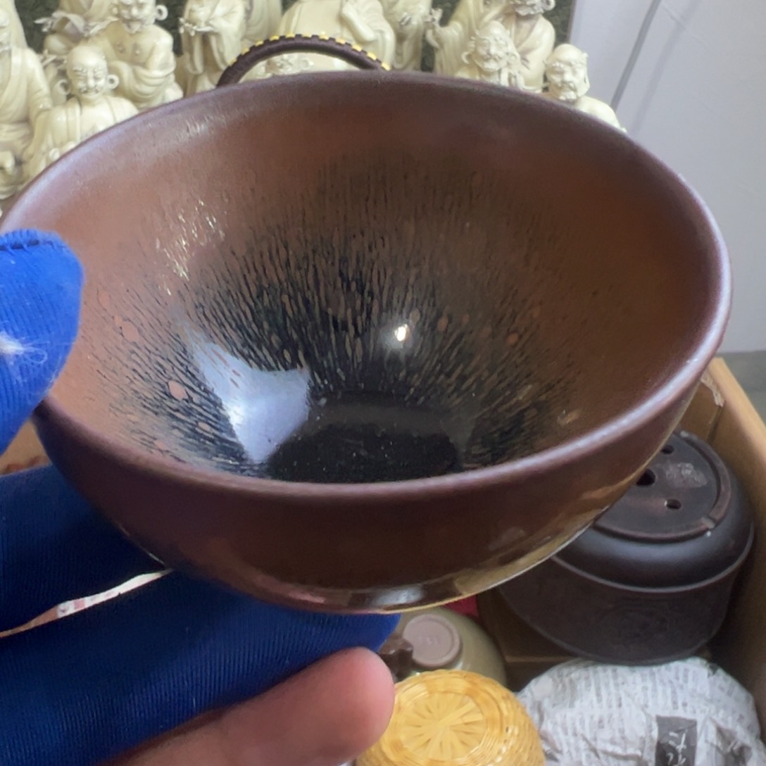 茶宠哈哈哈哈哈哈哈哈哈哈哈哈哈