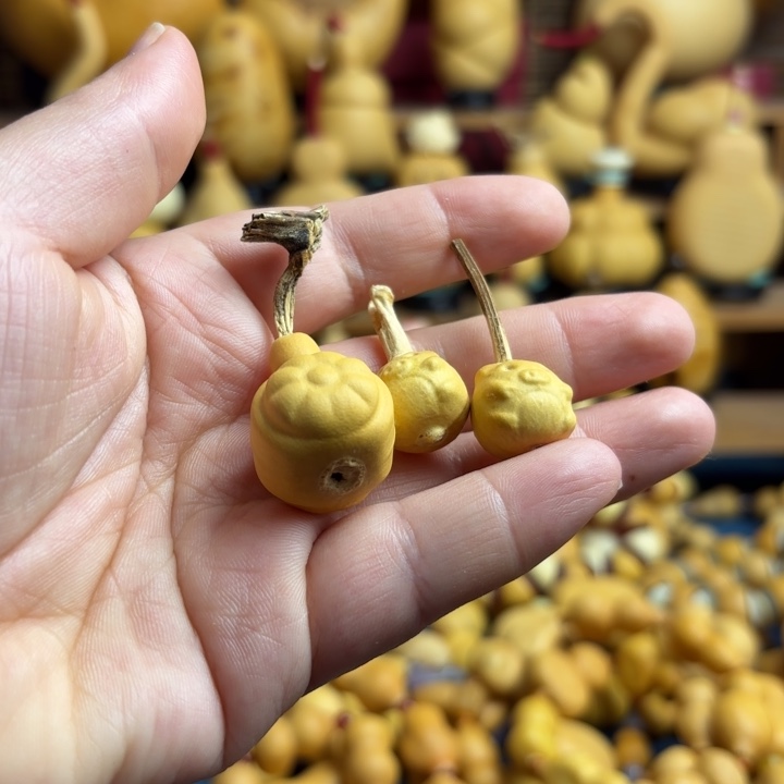 小***君木天然葫芦模具小猪