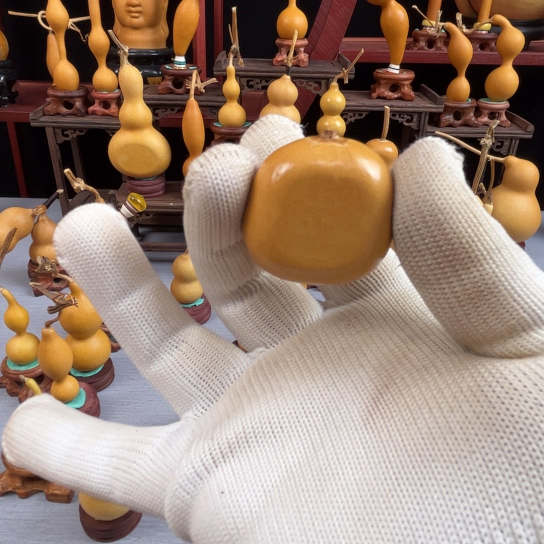 一***爆藤木我的小可爱，一点也不像个女孩