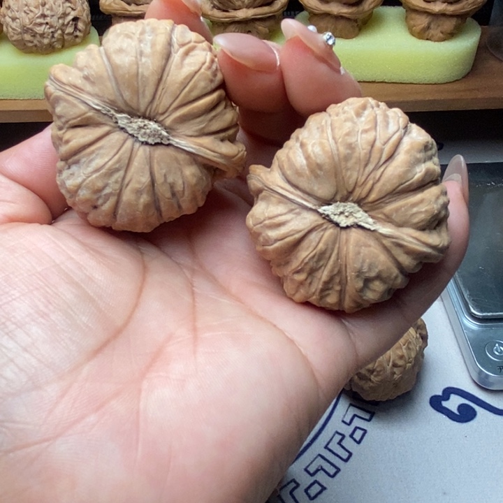 L***n大叶紫檀（黑酸枝木类）文玩核桃南瓜墩