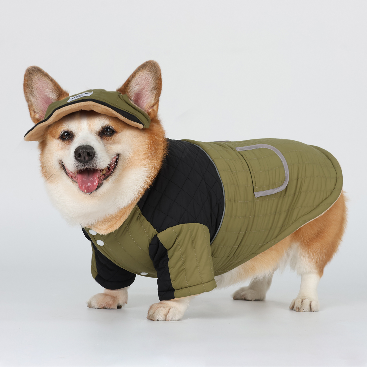 宠物狗狗保暖衣服加绒冬装棉衣柯基泰迪秋冬款中型犬小型犬带帽子