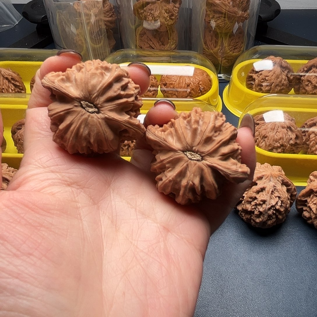 核桃42尺寸山地磨盘