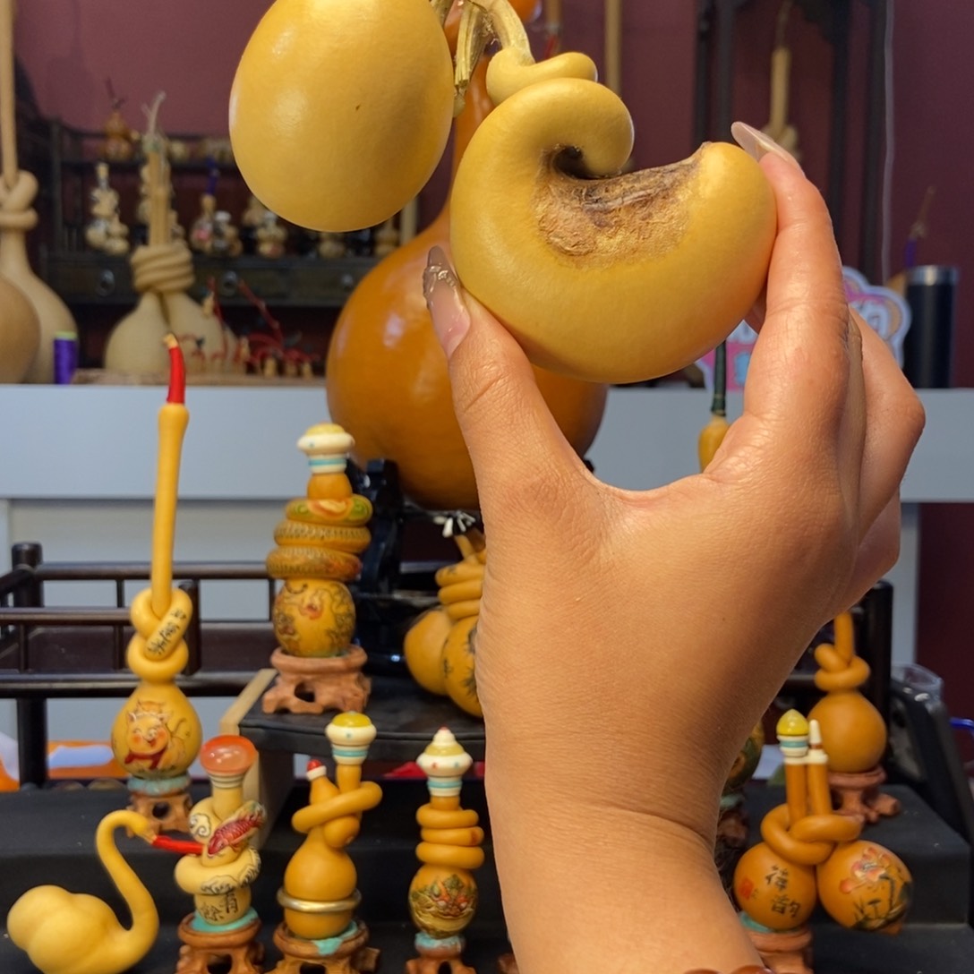 观***来我5888881月111111